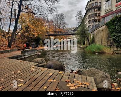 Leafe-Gehweg an einem regnerischen Herbsttag entlang der Seeuferanlage (Schanzengraben, Zürich, Schweiz) Stockfoto