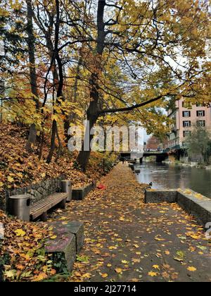 Leafe-Gehweg an einem regnerischen Herbsttag entlang der Seeuferanlage (Schanzengraben, Zürich, Schweiz) Stockfoto