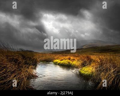 Small tarn on Mardale Common oberhalb von Haweswater in den Eastern Fells von Cumbria Stockfoto