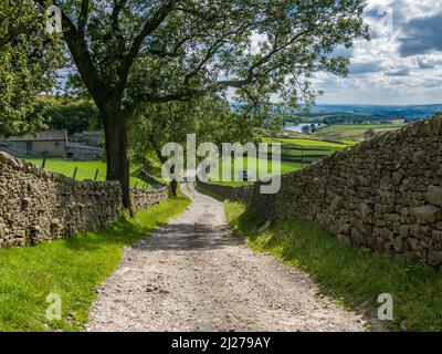 Farm Track in der Nähe von Lainger House Bordley in den Yorkshire Dales Stockfoto