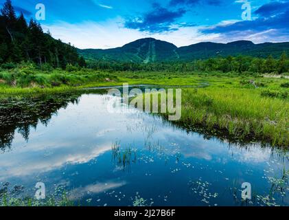 Mount Orford im Sommer Stockfoto