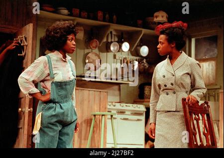 l-r: Valerie Buchanan (Ruth Younger), Marcia Myrie (Beneatha Younger) in Einer ROSINE IN DER SONNE von Lorraine Hansberry im Palace Theatre, Watford, England 15/11/1989 Design: Martin Johns Beleuchtung: Leonard Tucker Regie: Lou Stein Stockfoto