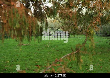 Leere Bank, auf der niemand stand, stand allein in einem Grasfeld (Mesopotamien, University Parks, Oxford, England) Stockfoto