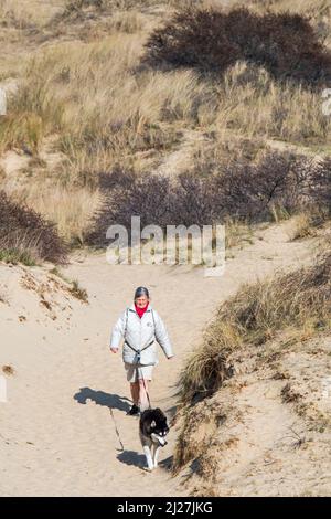 Frau, die im Frühjahr mit dem sibirischen Husky-Hund an der Leine in Sanddünen entlang der Nordseeküste unterwegs ist Stockfoto