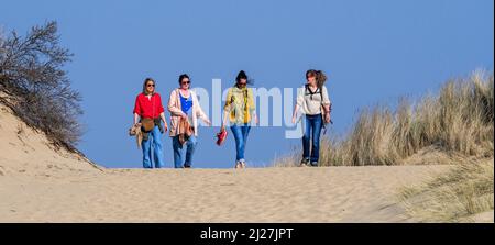 Vier glückliche Freundinnen mittleren Alters / Frauen in ihren 30s Jahren, die an einem sonnigen Frühlingstag in Sanddünen entlang der Nordseeküste wandern Stockfoto