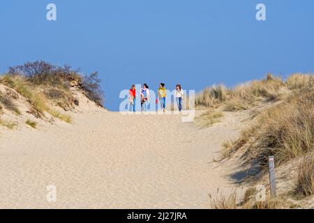 Vier glückliche Freundinnen mittleren Alters / Frauen in ihren 30s Jahren, die an einem sonnigen Frühlingstag in Sanddünen entlang der Nordseeküste wandern Stockfoto