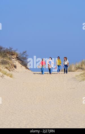 Vier glückliche Freundinnen mittleren Alters / Frauen in ihren 30s Jahren, die an einem sonnigen Frühlingstag in Sanddünen entlang der Nordseeküste wandern Stockfoto