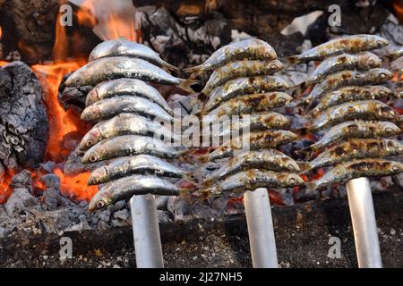 Sardinen auf den Metallspiessen, die am offenen Feuer in Malaga Andalusien Spanien brennen. Stockfoto