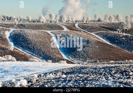 Im frühen Winter auf dem Cannock Chase Country Park AONB (Gebiet von außergewöhnlicher natürlicher Schönheit) in Staffordshire England, Großbritannien, gefrostete Bäume, Hügel und Pfade Stockfoto