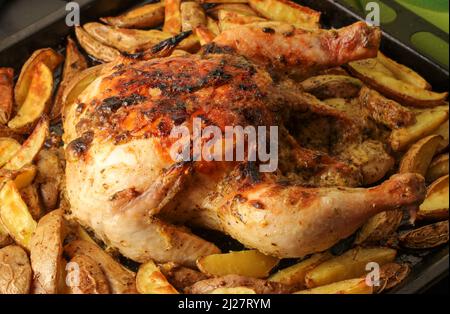 Huhn mit Kartoffeln im Ofen auf einem Backblech gebacken Stockfoto