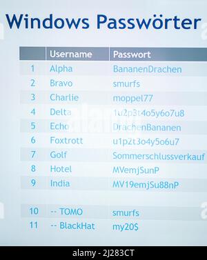 Hannover, Deutschland. 30. März 2022. „Windows Passwords“ ist auf der IT-Sicherheitsmesse secIT by Heise auf einem Stand. Quelle: Ole Spata/dpa/Alamy Live News Stockfoto