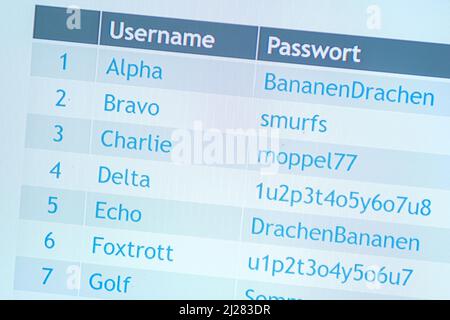 Hannover, Deutschland. 30. März 2022. „Username Password“ steht auf einem Stand auf der IT-Sicherheitsmesse secIT by Heise. Quelle: Ole Spata/dpa/Alamy Live News Stockfoto