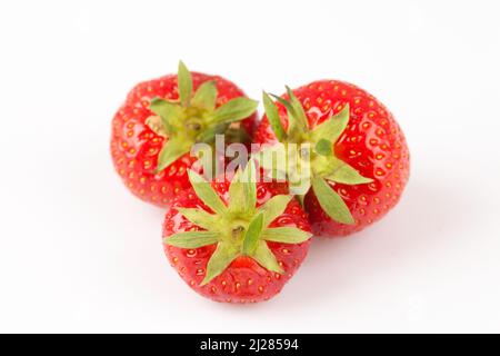 Eine Nahaufnahme von drei großen roten Erdbeeren mit grünen Schwänzen Stockfoto