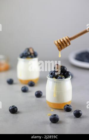 Hausgemachte italienische Dessert Panna Cotta mit Fruchtgelee, frischen blauen Beeren und Honig auf grauem Hintergrund. Stockfoto