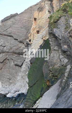 Ein Wasserfall stürzt auf die Felsen in der Sandymouth Bay vor vertikalen Sandsteinschichten, von denen einige grün mit den Algen gefärbt sind.auf dem ATL Stockfoto