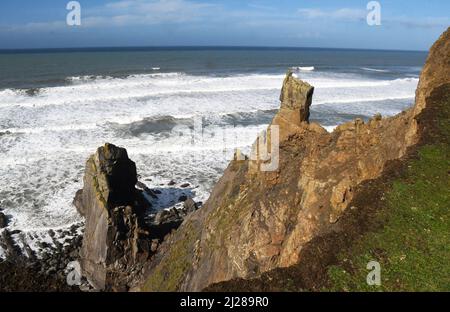 Sandsteinsäule an der geologisch vielfältigen Nordküste Cornwalls an der Sandymouth Bay mit dem Atlantik im Hintergrund.Cornwall.England. VEREINIGTES KÖNIGREICH. Stockfoto