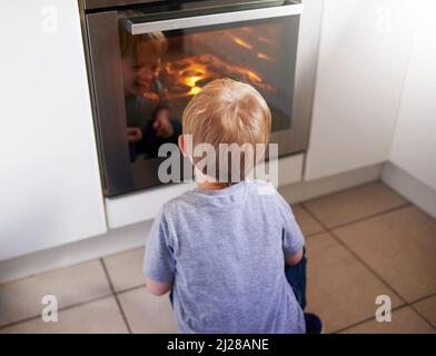 Seht, meine Cupcakes wachsen. Rückansicht von einem kleinen Jungen, der auf etwas Kuchenbacken in einem vorbei schaut. Stockfoto