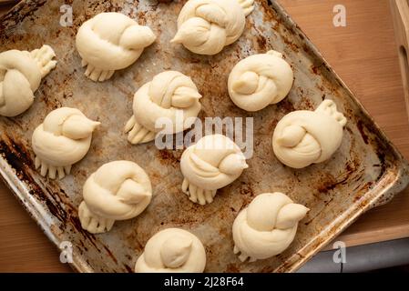 Brötchen in Form von Vögeln auf einem Backblech Stockfoto