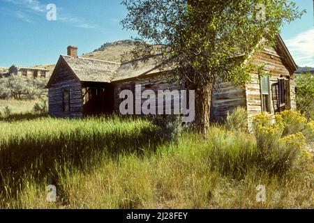 MT: Beaverhead County, Dillon Gegend, Bannack State Park (Geisterstadt), verlassene Blockhütte; Baumwollholz [Fragen Sie nach #170,065.] Stockfoto