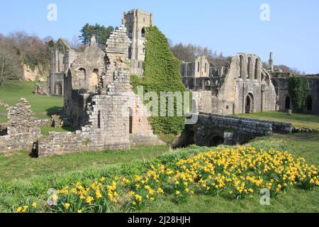 Fontänen Abtei im frühen Frühjahr Stockfoto