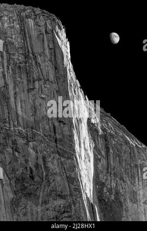 Der Mond steigt hinter der Granitsteinformation El Capitan im Yosemite, Kalifornien Stockfoto