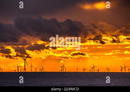 Walney Island, Cumbrian Coast. 30.. März 2022. Wetter in Großbritannien. Nach einem Tag mit Regen, grauem Himmel und einer kalten Nordbrise. Sonnenuntergang von der Cumbrian Coast, Blick über die Irische See zur entfernten Walney Offshore Windfarm. Kredit:greenburn/Alamy Live Nachrichten. Stockfoto