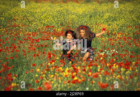 Kleine Mädchen im Mohnfeld, England Stockfoto