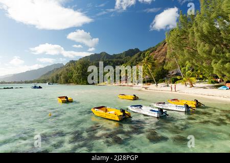 Boote zu vermieten in Tiahura, Moorea, Französisch-Polynesien Stockfoto