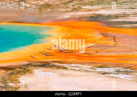 Große prismatische Nahaufnahme mit orangefarbener Bakterienmatte, Yellowstone-Nationalpark Stockfoto