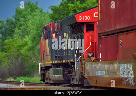 Elgin, Illinois, USA. Die Sonne scheint auf einem intermodalen Güterzug der Canadian National Railway, der von einer einzigen Lokomotive angetrieben wird. Stockfoto