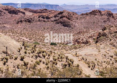 Nelson, Nevada, USA - 21. Mai 2011: Raues beige-braunes Gelände mit kurzen Kakteen und anderen Pflanzen, die in den Tälern zwischen den Bergen wachsen. Lange Sicht auf Stockfoto