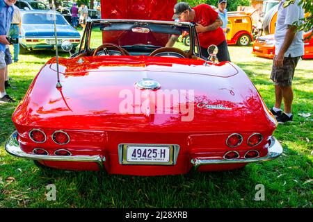 Rückseite des roten c1964-67 Corvette Sting Ray Cabriolets auf dem Display im Tamworth Australia. Stockfoto