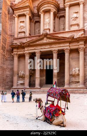 Das Äußere der Schatzkammer ‘Al-Khazneh’, mit Einem Kamel im Vordergrund, Petra, Jordanien. Stockfoto