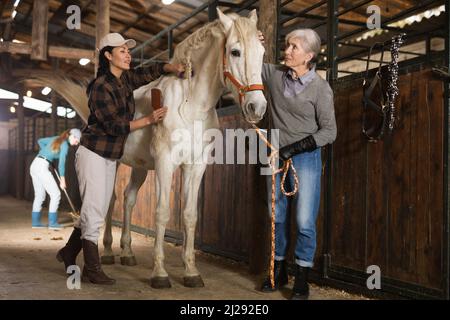 Frauen putzen weißes Pferd in der Scheune Stockfoto