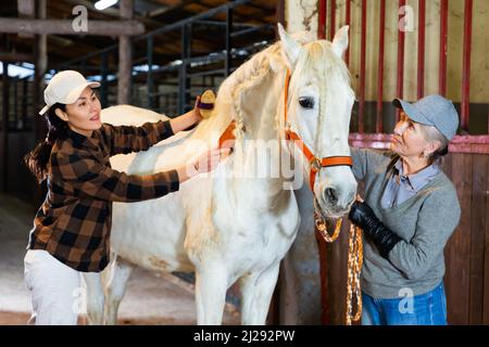 Ältere Bäuerin Frau mit asiatischem weiblichen Assistenten fürsorgliches Pferd im Stall Stockfoto