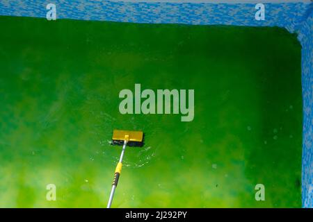 Reinigung des Sommerpools von Grünalgen. Reinigung des Schwimmbades.Algen im Pool.Mann, der an einem sonnigen Tag ein Schwimmbad putzt. Stockfoto