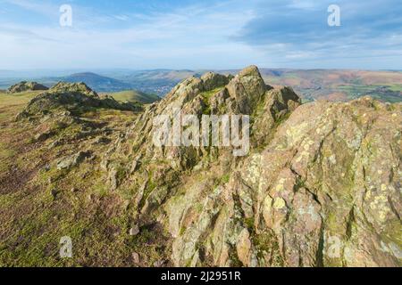 Bei Sonnenaufgang im frühen Frühjahr, auf dem Gipfel des wichtigsten Schönheitsflecks von Shropshire, wunderschöne dramatische Landschaft, weite Sicht über die umliegenden englischen Coun Stockfoto