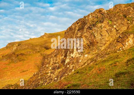 In der Morgendämmerung mit gesättigtem, warmem Wintersonnenlicht und blauem Himmel, mit wilden Gräsern, die in der Nähe von Felsen im Vordergrund und Long Mynd im Hintergrund wachsen. Stockfoto