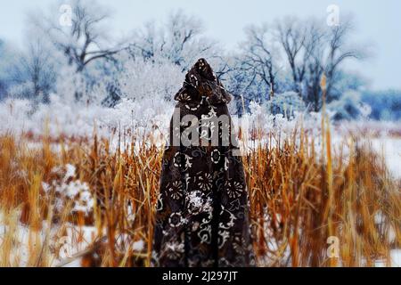 Der Zauberer im mittelalterlichen Umhang blickt auf ein Feld mit Wintereifrig. Magische Bilder rufen eine andere Welt hervor. Stockfoto