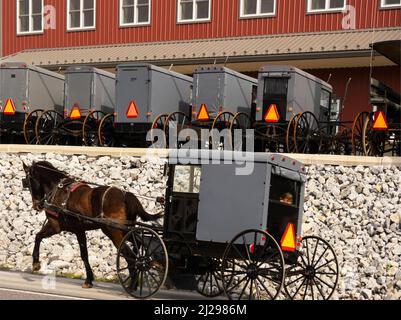 Pferdewagen mit Amischen auf der Straße in Lancaster, PA Stockfoto