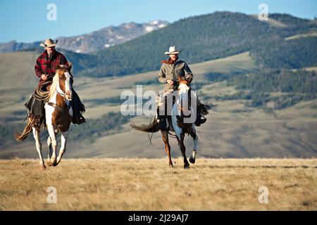 Zwei hübsche Cowboys zu Pferd in Wyoming. Cowboys reiten auf American Paint Horses. Wyoming, USA Stockfoto