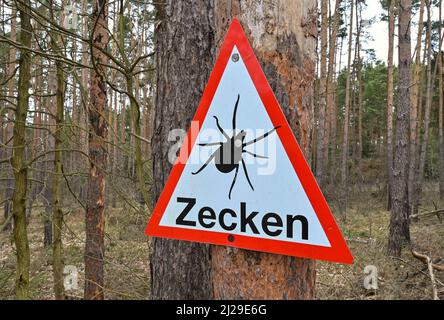 30. März 2022, Brandenburg, Müllrose: Ein Warnschild gegen Zecken hängt an einem Baum im Wald. Mit den milderen Temperaturen werden Zecken in diesen Tagen wieder aktiv. Zecken können verschiedene Krankheiten übertragen. Foto: Patrick Pleul/dpa-Zentralbild/ZB Stockfoto