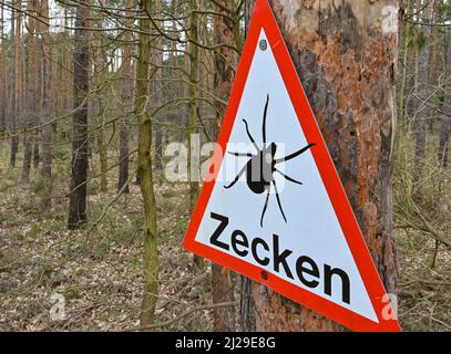 30. März 2022, Brandenburg, Müllrose: Ein Warnschild gegen Zecken hängt an einem Baum im Wald. Mit den milderen Temperaturen werden Zecken in diesen Tagen wieder aktiv. Zecken können verschiedene Krankheiten übertragen. Foto: Patrick Pleul/dpa-Zentralbild/ZB Stockfoto