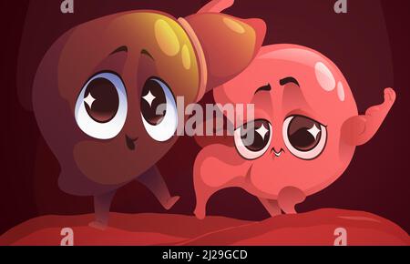 Cartoon gesunden Magen und Leber Zeichen im Bauch. Niedliche innere Organe zeigen starke Muskeln. Magen Verdauungssystem Personages, Gesundheitswesen und Gastroenterologie Medizin, Vektor-Illustration Stock Vektor