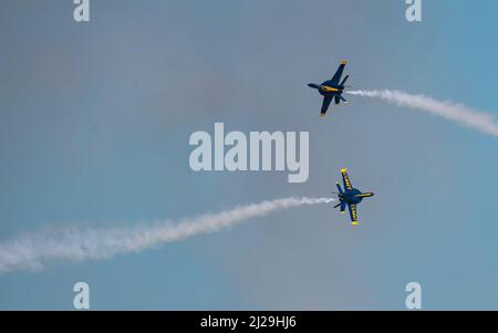Zwei US Navy Blue Angels F/A-18 Hornets führen Flugmanöver während des Tampa Bay AirFest am 25. März 2022 auf der MacDill Air Force Base, Florida, durch. Die Blue Angels standen an der Kopfbedeckung des Air Fests, an dem Künstler und Flugzeuge aus allen anderen Bereichen des Militärs teilgenommen haben. (USA Foto der Luftwaffe von Staff Sgt. Alexander Cook) Stockfoto