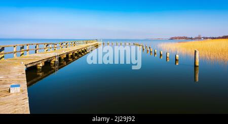 Alter Steg, Holzsteg am Bodstedt Bodden, Nationalpark Vorpommersche Boddenlandschaft, Mecklenburg-Vorpommern, Deutschland Stockfoto