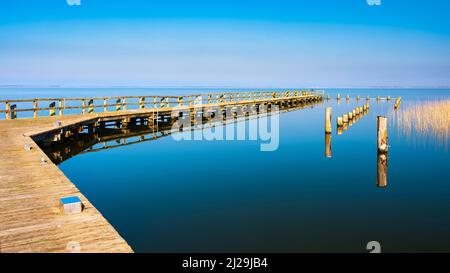 Alter Steg, Holzsteg am Bodstedt Bodden, Nationalpark Vorpommersche Boddenlandschaft, Mecklenburg-Vorpommern, Deutschland Stockfoto