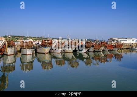 Fischerhafen, Fano, Adria, Marken, Italien Stockfoto