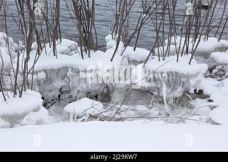 Eisbrocken auf einem Busch, Chateauguay River, Provinz Quebec, Kanada Stockfoto