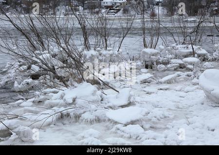 Eisbrocken auf einem Busch, Chateauguay River, Provinz Quebec, Kanada Stockfoto